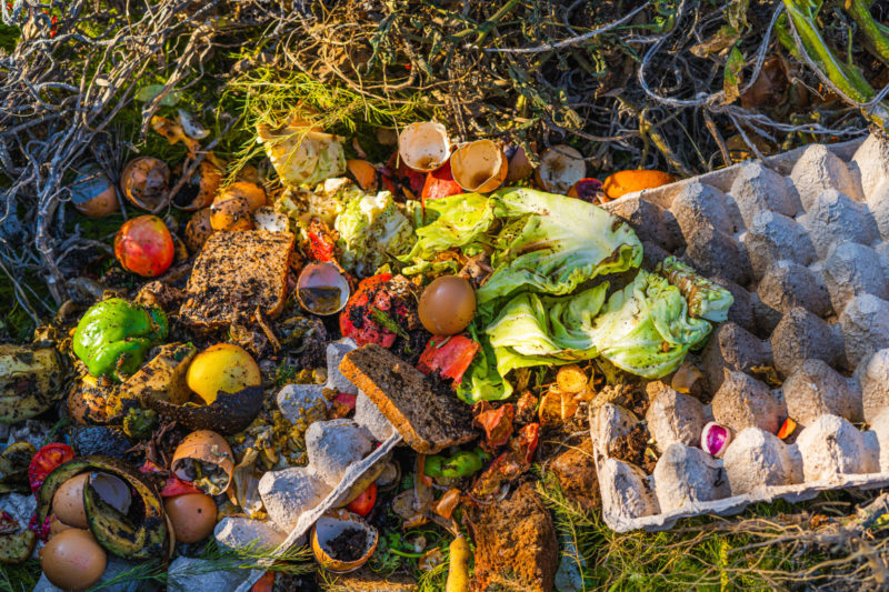 フードロスの元凶